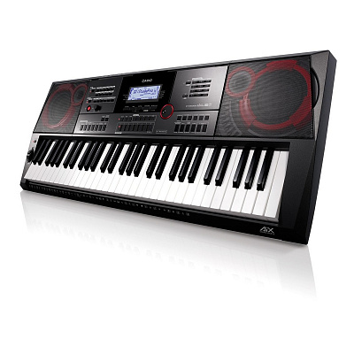 Синтезатор с автоаккомпанементом Casio CT-X5000